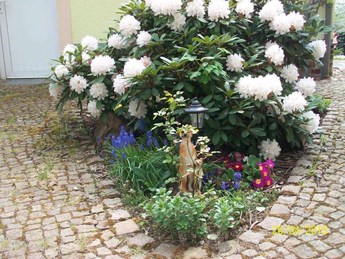 Apartamento Giesis Wohlfuehloase Döbeln Exterior foto